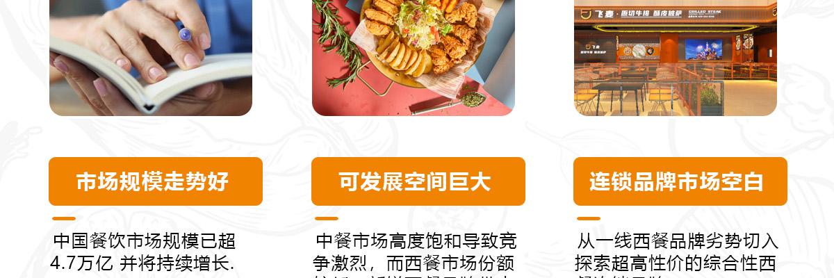 飞麦披萨
