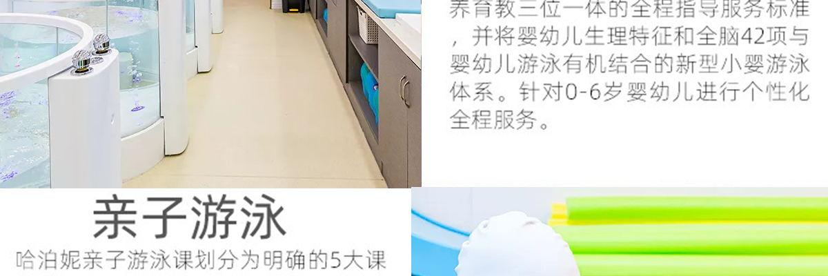 哈泊妮