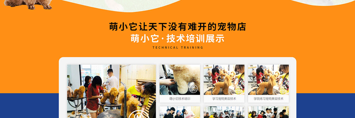 萌小它宠物店