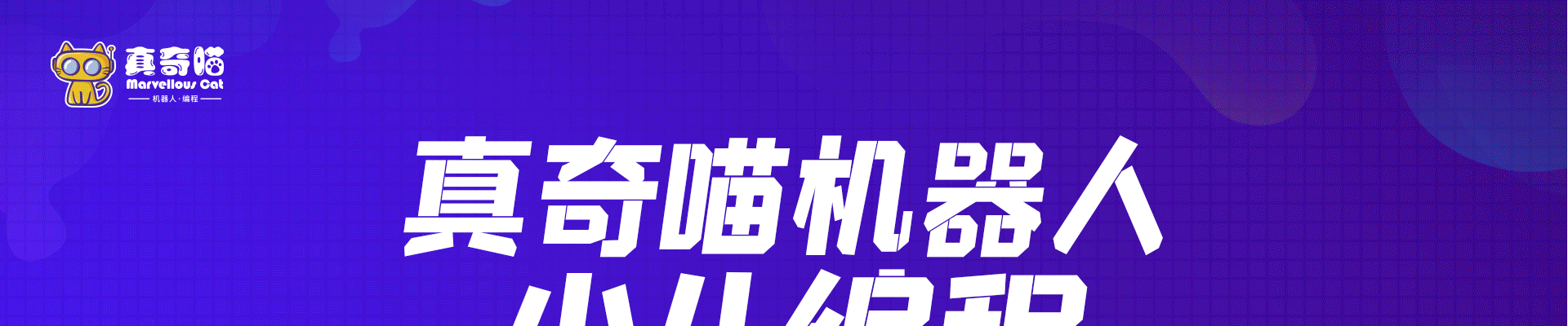 真奇喵机器人教育