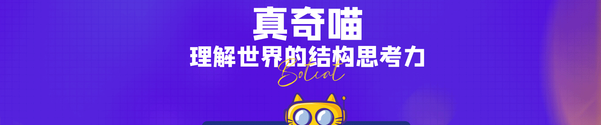 真奇喵机器人教育