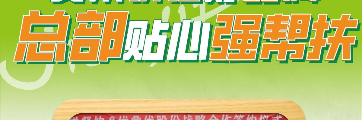 甲乙饼